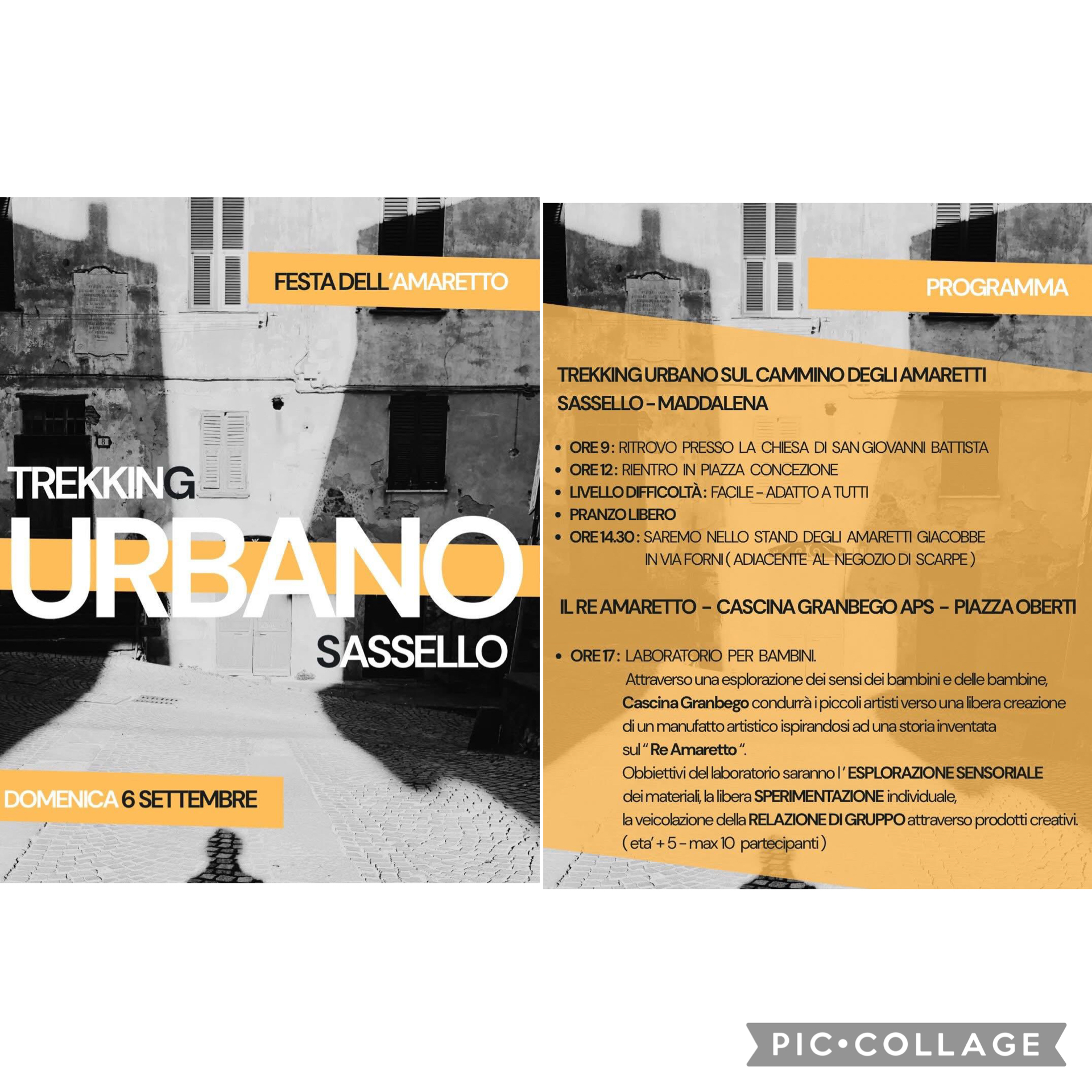 Immagine attività